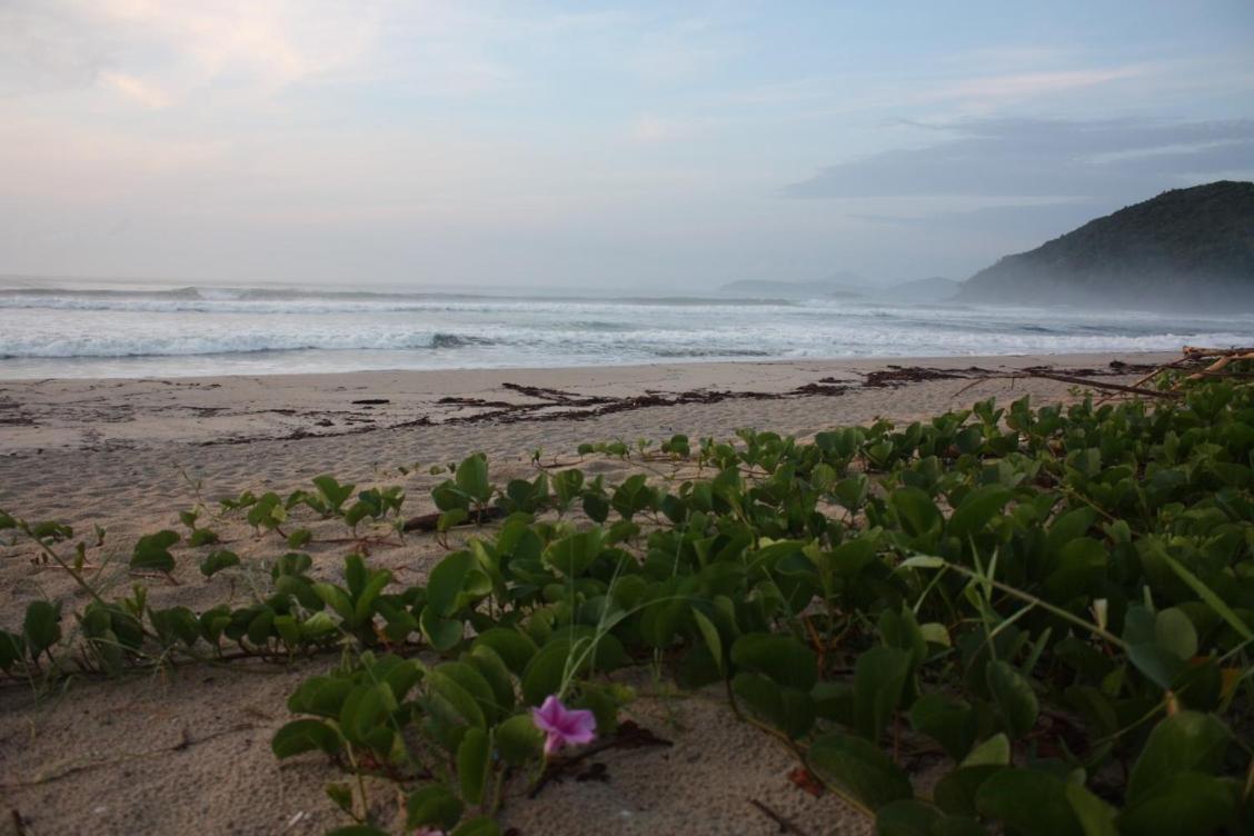 Maloquinha Itamambuca. A Mais Charmosa De Ubatuba. Kültér fotó